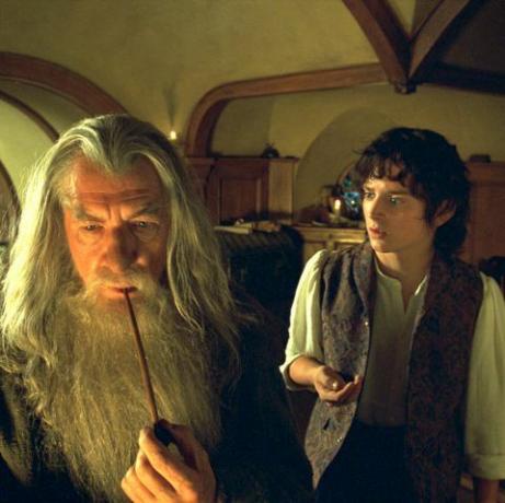 "Lord of the Rings" Amazon TV prikazuje, kaj vedeti o igralski zasedbi, informacije o datumu izdaje in novice